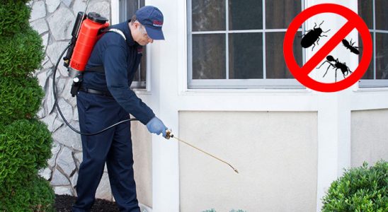 Kale Böcek ve Haşere İlaçlama böcek ilaçlama ve haşere kontrolü — ilaclama-tr.com